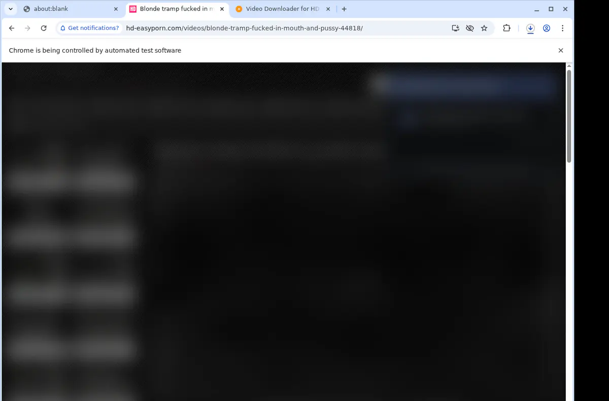Hdeasyporn Video Downloader browser extension screenshot 2