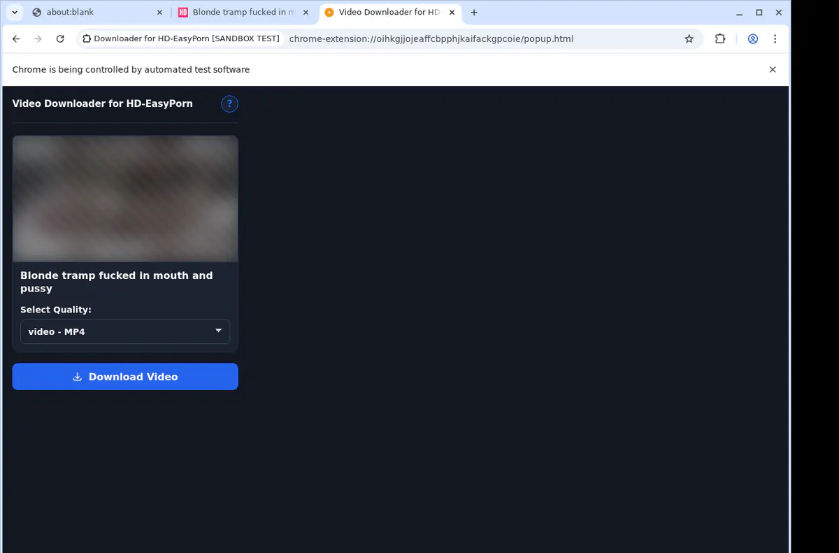 Hdeasyporn Video Downloader browser extension screenshot 3